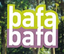 BAFA BAFD_Lacourt St Pierre