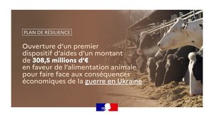 Aide à l'alimentation animale-Lacourt Saint Pierre