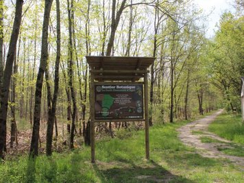 Forêt de Montech