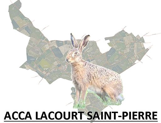 ACCA  - Lacourt St Pierre