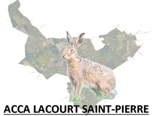 ACCA  - Lacourt St Pierre